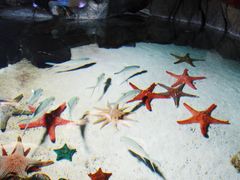 -福州罗源湾海洋世界旅游区