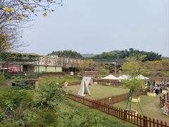 -盈香心动乐园