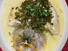 -圆苑(静安寺店)