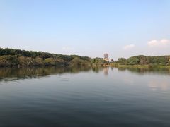 -大湾区中央湿地公园