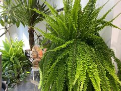 -甲乙果 美术书法(通州校区)