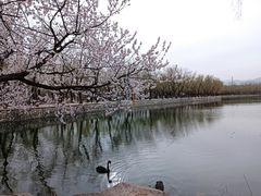 -颐和园