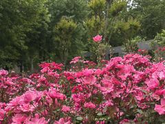 -郑州中国绿化博览园