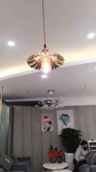 -八佰伴8008星级形象店