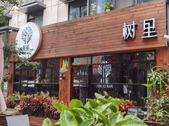-泡桐树街