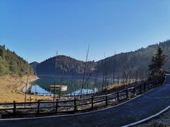 -武陵山森林公园