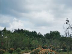 -同里国家湿地公园