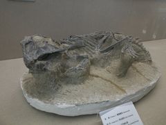 -房山世界地质公园博物馆