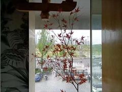 -阿斯牛牛·凉山菜(新会展店)