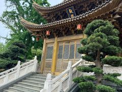 -上海东林寺(金山区)