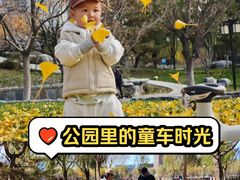 -西海子公园