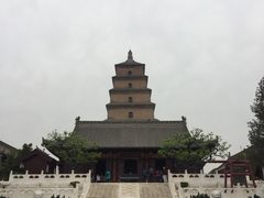 -骏途旅游