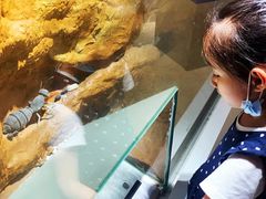 -上海昆虫博物馆