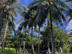 -三亚海棠湾万丽度假酒店