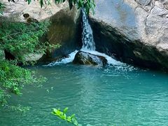 -广州白江湖森林公园