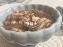 -吉丁鸟咖·异宠·寄养
