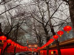 -白家大院·王府宫廷菜(苏州街店)