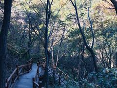 -大岭沟猕猴桃谷风景区