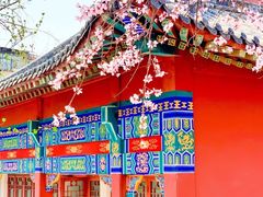 -桃花堤公园