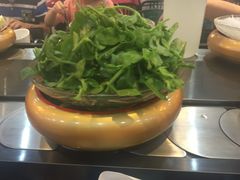 -龍歌自助小火锅(崂山丽达店)