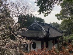 -香雪海