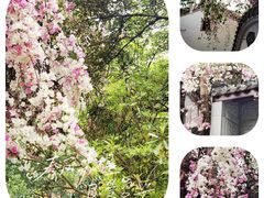 -深圳国际园林花卉博览园