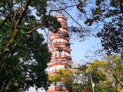 -分塔山省级森林公园