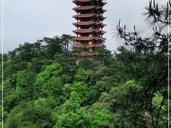 -缙云山景区