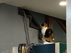 -吉友粥底火锅(方斜路店)