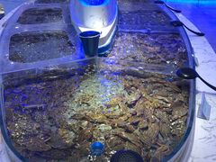 -澜悦港海鲜体验主题餐厅