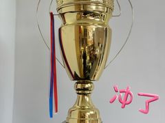 -天猫养车贴膜轻改·蓝电(优匹康桥东路店)