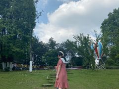 -铁山坪森林公园