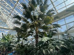 -石家庄市植物园