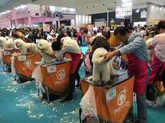 -东浩兰生上海世博展览馆