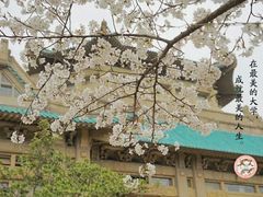 -武汉大学-桂园餐厅