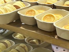 -狐狸和向日葵(北京路店)
