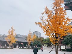 -清凉寺