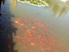 -前关湿地公园