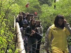 -武隆天坑地缝国家地质公园