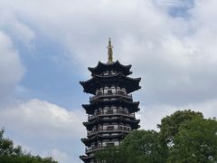 -洋湖国家湿地公园