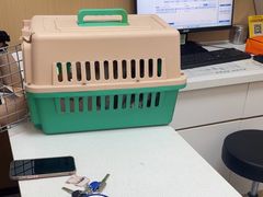 -瑞派康怡24h宠物医院·犬猫医疗中心·微创绝育(瑞景分院)