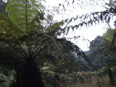 -保利石象湖景区
