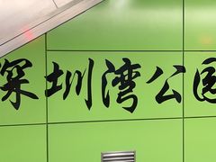 -深圳湾公园(南山区)