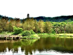 -普陀山风景名胜区-千步大沙