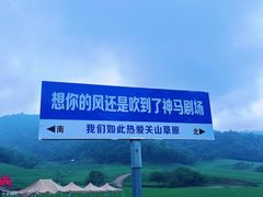 -关山草原