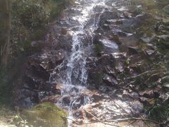 -东白山