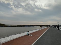 -南大港湿地风景区