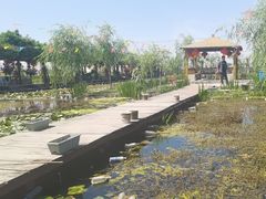 -同銮特种养殖场·龙虾垂钓