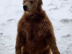 -新疆天山野生动物园