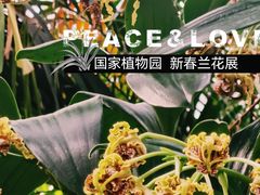 -北京植物园-展览温室